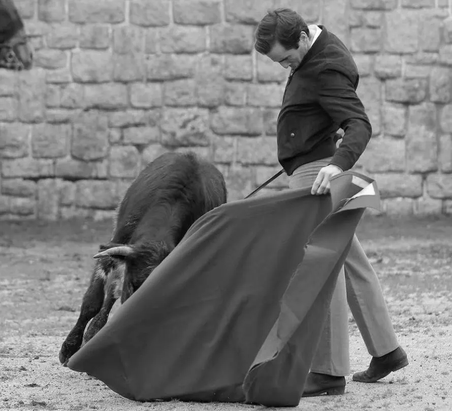El arte del toreo con capote